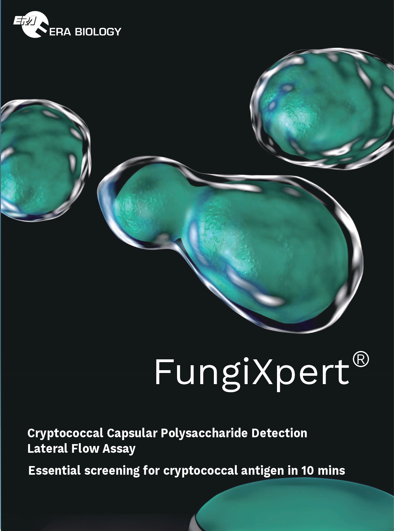 FungiXpert&reg; Cryptococcal Capsular Polysaccharide Detection K-Set (Lateral Flow Assay)